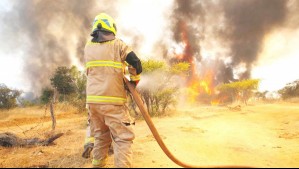 Senapred declara Alerta Roja en Rancagua por incendio forestal: Solicitan evacuar sector de la comuna