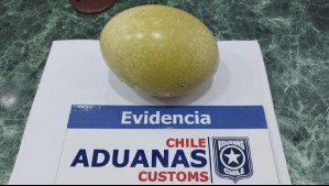 Aduanas encuentra huevo de ñandú en pertenencias de viajero en Chile Chico