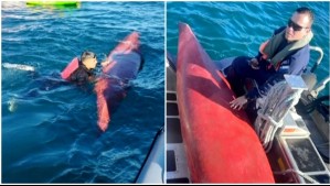 Encuentran kayak en medio de búsqueda de joven que desapareció en el lago Villarrica