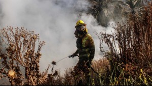 Cancelan Alerta Amarilla para la comuna de Quillón por incendio forestal