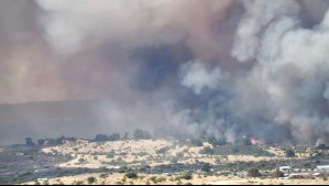 Llaman a evacuar sectores de Litueche por incendio forestal: Declararon Alerta Roja