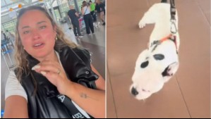 'Su solución es que lo abandone': Influencer denuncia que aerolínea le prohibió viajar con su perro pese que había comprado pasaje