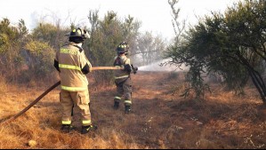 Declaran Alerta Roja para Chillán por incendio forestal