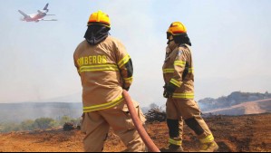 Alerta Roja para Ercilla por incendio forestal: Fuego ha consumido 83 hectáreas y amenaza con llegar a sectores poblados