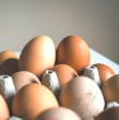 Conoce qué dicen los expertos respecto al modo de guardar los huevos: ¿Es mejor en el refrigerador o a temperatura ambiente? Descubre qué aconsejan y aprende a preservar este importante alimento.