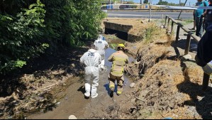 Encuentran cadáver en Romeral: Se trataría de temporero que había desaparecido el 16 de enero