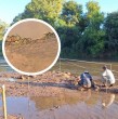 Un joven estudiante argentino encontró una pieza que correspondería al de un caparazón de un Gliptodonte, mamífero que habitó en Sudamérica hace 10 mil años, esto luego de que se lanzara al Río Ctalamochita, en Argentina.
