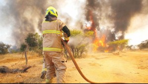 Incendios forestales en el centro sur: Senapred declara Alerta Roja en varias comunas y solicita evacuar sectores