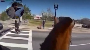 Llamativo procedimiento: Policía persiguió a caballo a un delincuente en Estados Unidos