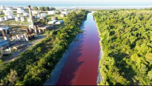 'Parecía un arroyo de sangre': Canal quedó teñido completamente de rojo en Buenos Aires