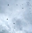 Un extraño fenómeno de la naturaleza ocurrió en São Thomé das Letras, en el estado de Minas Gerais, Brasil, donde los habitantes presenciaron una especie de lluvia de arañas, pero esto tendría una explicación.