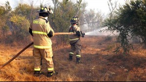 Ordenan nuevas evacuaciones por incendio forestal en comuna de La Araucanía: Van 200 hectáreas consumidas por el fuego