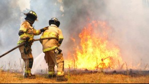 ¿Qué son las lenguas de fuego?: Jaime Leyton explica fenómeno observado en los incendios forestales de la zona sur