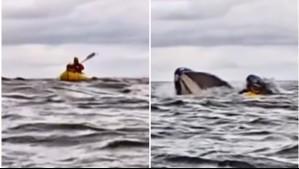 Video muestra como ballena ingiere y luego escupe a joven que andaba en kayak por el estrecho de Magallanes