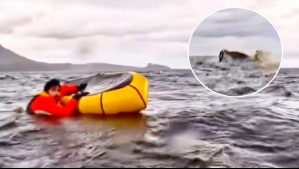 'Pensé que me había comido': Kayakista que fue ingerido y escupido por una ballena en Magallanes comparte su testimonio