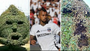 'Es triste por el esfuerzo': Video muestra momento en que arbusto en homenaje a Arturo Vidal fue quemado