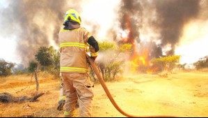 Incendios forestales en la zona sur: Se reportan 13 siniestros en combate y hectáreas arrasadas superan los 17 mil