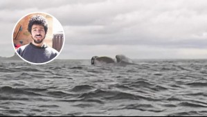 Joven ingerido por una ballena a Meganoticias: 'Cuando cerré los ojos y sentí que me hundía, me acordé de Pinocho'