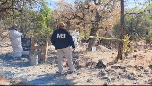 Tres niñas mueren por comer pan envenenado destinado a matar perros callejeros en México