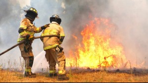 Senapred solicita evacuación y declara Alerta Roja por incendio forestal en sector de una comuna del Biobío