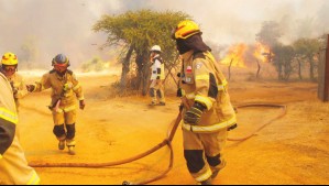 Incendios forestales en la zona sur: Se reportan 11 siniestros en combate y hectáreas arrasadas superan los 20 mil