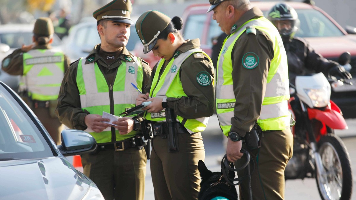 cómo limpiar la hoja de vida del conductor