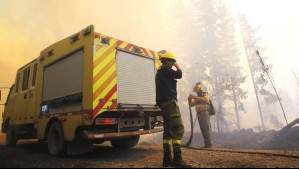 Senapred llama a evacuar sector de Lebu por incendio forestal