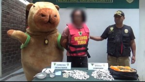 'Acá tienes tu regalo': Policía peruano atrapa a un narcotraficante gracias a su disfraz de 'Capibara del Amor'