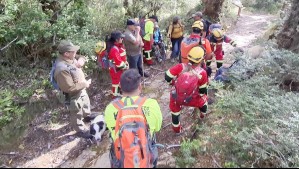 Hallan con vida a tres adultos mayores y guía turístico que se extraviaron en Parque Nacional Alerce Costero de Los Ríos