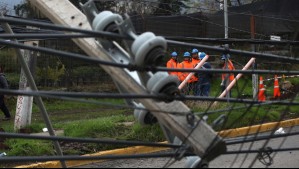 'Provoca daño y deja sin luz a la ciudadanía': Captan a sujeto que sube a postes de luz para robar cables en La Serena