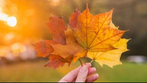 ¿Cuándo empieza el otoño en Chile?