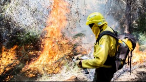 Incendios forestales en la Patagonia Argentina amenazan con llegar a poblaciones al sur de Chile