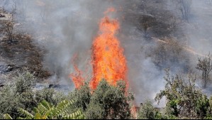 Senapred pide evacuar sectores de Pitrufquén y declara Alerta Roja por incendio forestal