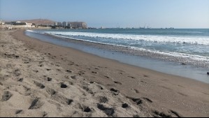 Decretan cierre de popular playa de Arica por presencia de coliformes fecales