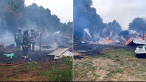 'Triste mañana': Muere lobo marino tras incendio en instalaciones de ONG 'Chiloé Silvestre' en Ancud