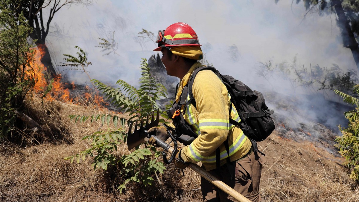 Bomberos detenidos por incendios en Melipilla