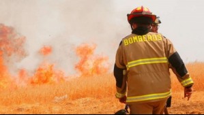 Decretan alerta roja para las comunas de Cholchol y Galvarino por incendio forestal: Senapred ordena la evacuación de dos sectores