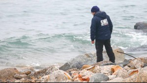 Hombre muere ahogado en Algarrobo: Playa no era apta para el baño