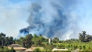 Llaman a evacuar sector de la comuna de Peñaflor por incendio forestal: Está cerca de una bencinera