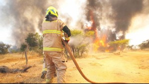 Senapred solicita evacuar sector en la región de Valparaíso por incendio forestal