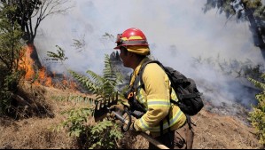 Alerta Roja por incendio forestal: Llaman a evacuar sectores de comunas de La Araucanía