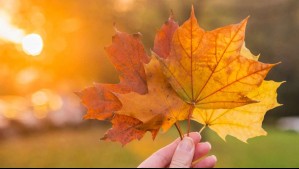 ¿Cuándo empieza el otoño en Chile?
