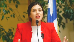 'Ya estás con nosotros': Diputada Karol Cariola anuncia que se convirtió en madre