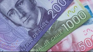 Bono Marzo: Consulta con RUT si te corresponde el segundo pago del Aporte Familiar Permanente