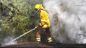 Muere brigadista que sufrió accidente mientras combatía incendio forestal en La Araucanía