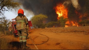 Senapred declara Alerta Roja en Los Ángeles por incendio forestal 'cercano a sectores poblados'