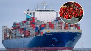 China rechaza 800 contenedores con cerezas chilenas: ¿Cuáles son las razones?