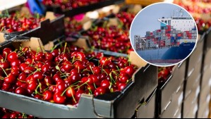 China comienza destrucción de 5 millones de cajas de cerezas chilenas: ¿Cuáles son las razones?