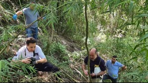 Osamentas encontradas en el río Toltén corresponden a hombre desaparecido en 2014