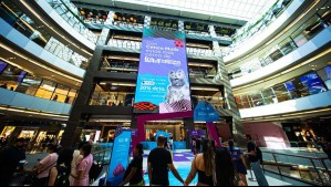 Lollapalooza 2025: Cenco Malls realizará actividades para acercar el festival a los fanáticos